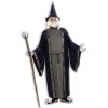 Forum Novelties Wizard Men's Plus Size Costume, Plus Size