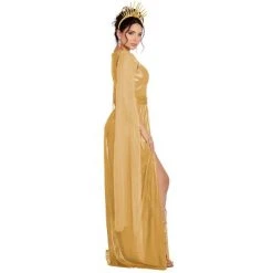 Dreamgirl Golden Sun Goddess Adult Costume