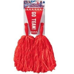 Forum Novelties Girl's Cheerleader Kit Red