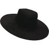 Underwraps Costumes Underwraps Black Top Hat Adult Costume Accessory