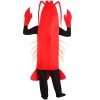 HalloweenCostumes.com One Size Fits Most Men Rock Lobster Costume, Brown/Red