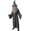 The Hobbit Gandalf Adult Costume