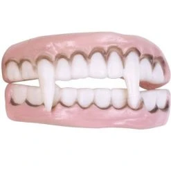 Fun World Vampire Character Teeth Accessory -Adult Halloween Costumes Shop GUEST 6dc78a06 012c 4285 b769 8d782058017f 1