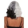 Dreamgirl Split Hues Glam Wig -Adult Halloween Costumes Shop GUEST 77d3e247 8073 4b58 8594 2fff91019f27