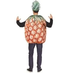 Fun World Prickly Pineapple Men's Costume, Standard