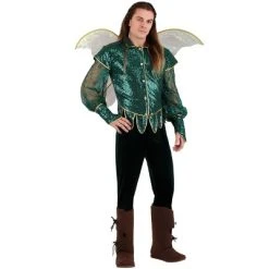 HalloweenCostumes.com Forest Fairy Men's Costume -Adult Halloween Costumes Shop GUEST bfec8efe bfe1 47d4 a1dc fe47640d8851