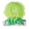 California Costumes Corkscrew Clown Curls Wig (Green) -Adult Halloween Costumes Shop GUEST cf1b0abe 756f 4bb5 a2de 41b9c38c4160