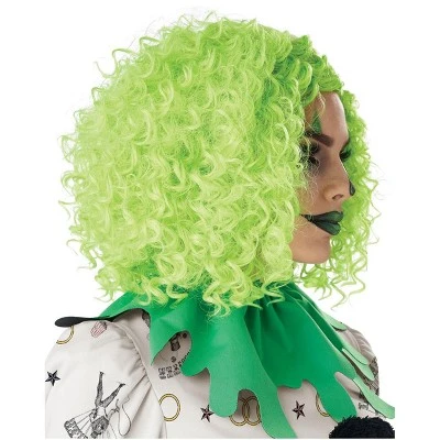 California Costumes Corkscrew Clown Curls Wig (Green) 4 California Costumes Corkscrew Clown Curls Wig (Green) - Image 2
