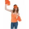 Forum Novelties Girl's Orange Cheerleader Kit